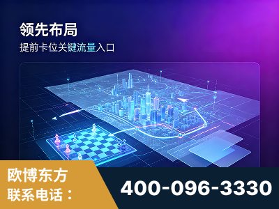 无锡-领先布局：于2024年初开启GEO业务的公司